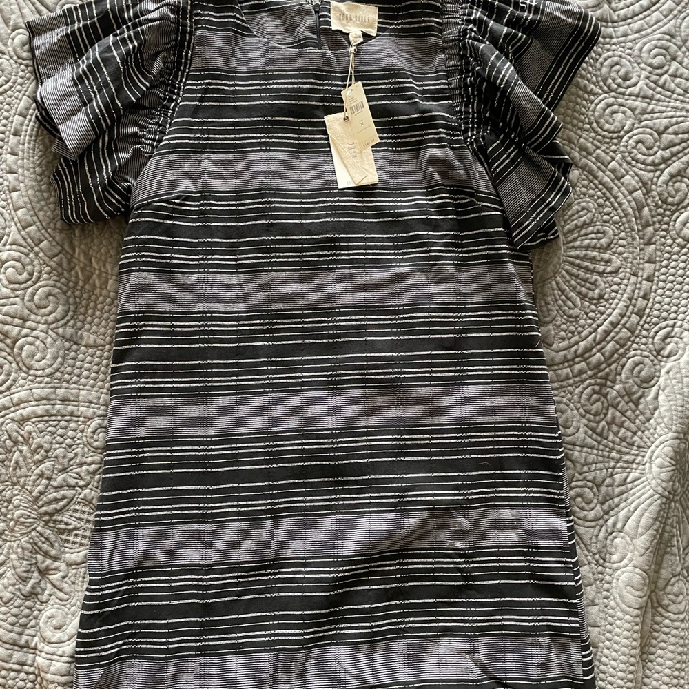 BNWT- Anthropology dress